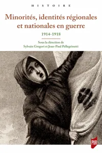 Minorités, identités régionales et nationales en guerre_cover