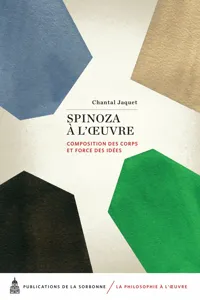 Spinoza à l'œuvre_cover