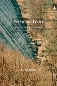 Mésopolitique_cover