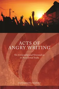 Acts of Angry Writing_cover