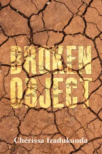 Broken Object_cover