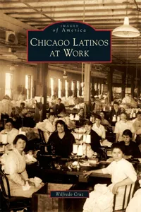 Chicago Latinos at Work_cover