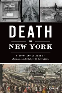 Death in New York_cover