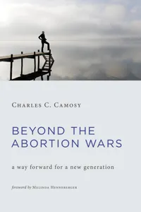 Beyond the Abortion Wars_cover