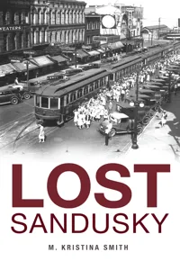 Lost Sandusky_cover