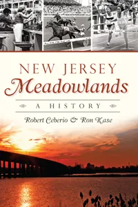 New Jersey Meadowlands_cover