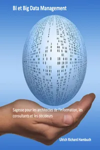 BI et Big Data Management_cover