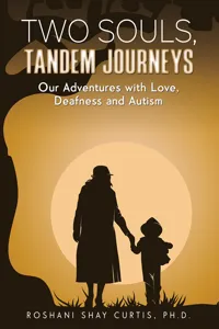 Two Souls, Tandem Journeys_cover