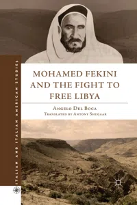 Mohamed Fekini and the Fight to Free Libya_cover