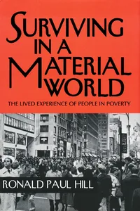 Surviving in a Material World_cover