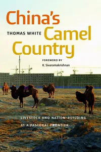 China's Camel Country_cover