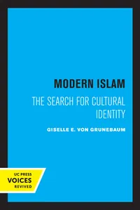 Modern Islam_cover