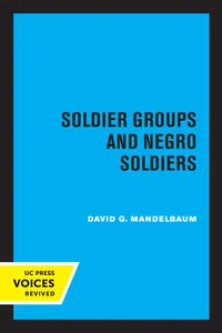 Soldier Groups and Negro Soldiers_cover