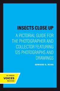 Insects Close Up_cover