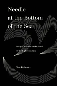 Needle at the Bottom of the Sea_cover