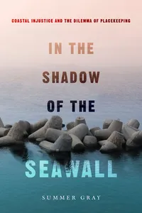 In the Shadow of the Seawall_cover