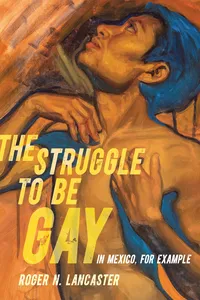 The Struggle to Be Gay—in Mexico, for Example_cover
