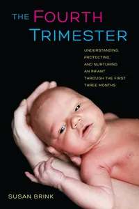 The Fourth Trimester_cover