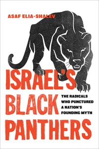 Israel's Black Panthers_cover