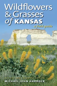 Wildflowers and Grasses of Kansas_cover