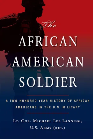 The African American Soldier:
