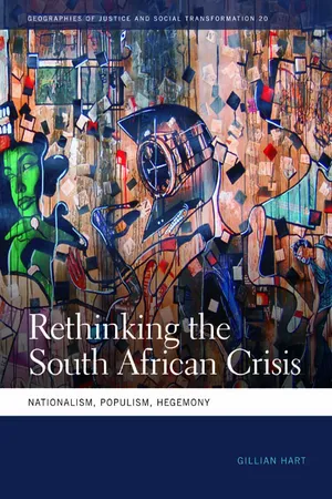 Rethinking the South African Crisis
