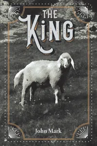 The King_cover