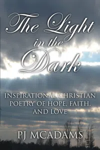 The Light in the Dark_cover