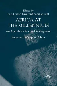 Africa at the Millennium_cover