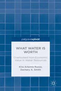 What Water Is Worth: Overlooked Non-Economic Value in Water Resources_cover