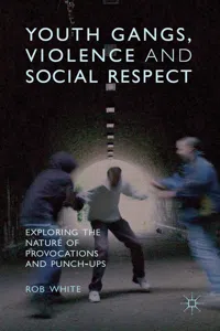 Youth Gangs, Violence and Social Respect_cover