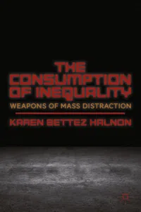The Consumption of Inequality_cover