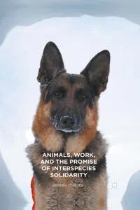 Animals, Work, and the Promise of Interspecies Solidarity_cover