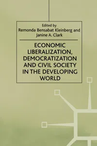 Mipes;Econ Lib Democ Civil Soci_cover