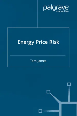 Energy Price Risk