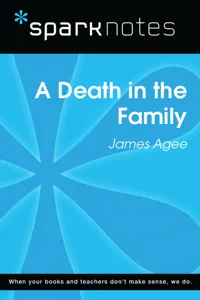 A Death in the Family_cover
