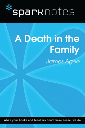 A Death in the Family (SparkNotes Literature Guide)