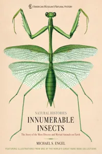 Innumerable Insects_cover