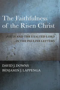 The Faithfulness of the Risen Christ_cover