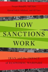 How Sanctions Work_cover
