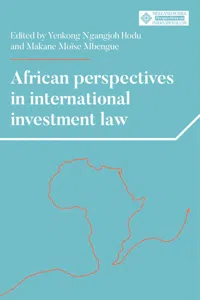 African perspectives in international investment law_cover