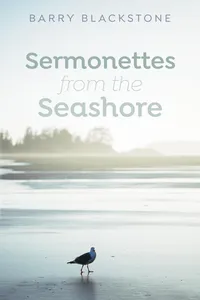 Sermonettes from the Seashore_cover