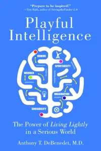 Playful Intelligence_cover