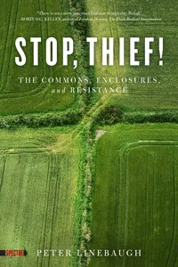 Stop, Thief!_cover