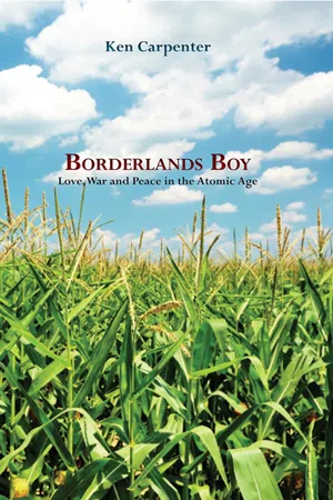 Borderlands Boy