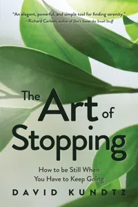The Art of Stopping_cover