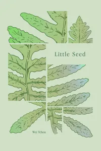 Little Seed_cover
