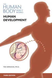 Human Development, Third Edition_cover