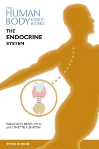 The Endocrine System, Third Edition_cover