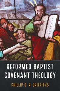 Reformed Baptist Covenant Theology_cover